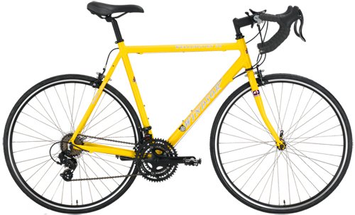 Windsor Wellington 2.0 Aluminum 21 Speed Shimano Equipped Road Bike Review